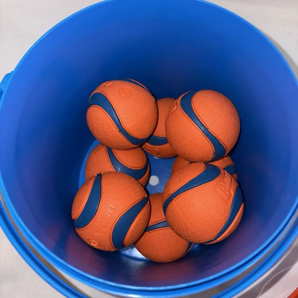 Chuckit Ultra Ball Dog Toy, Med Balls (2.5”) 8 pk w/Cleaning Bucket Durable NEW